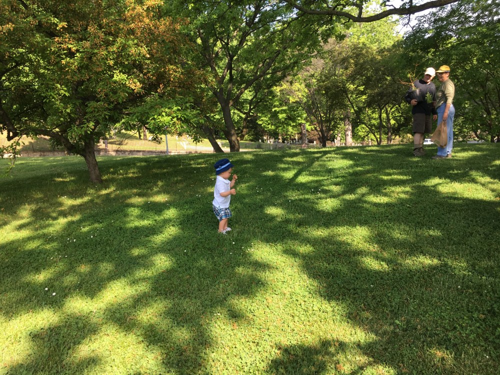 16-5-28 Proud Market Boy by Tree
