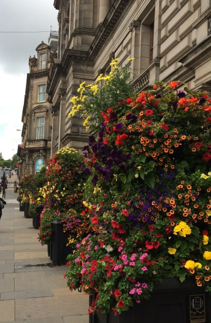 15-8-6 Glasgow Scotland Flowers