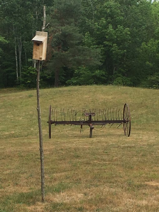 16-7-30 bird houses 3 A