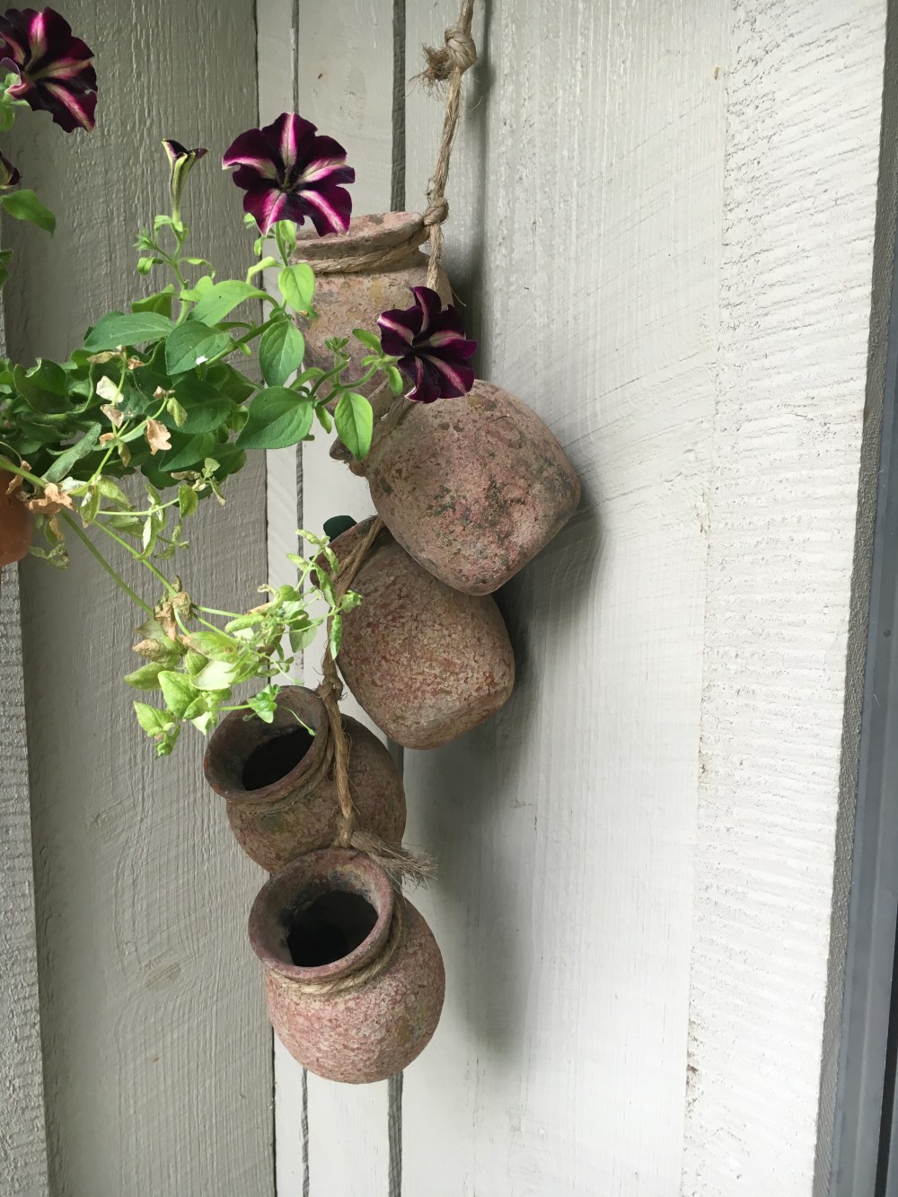 16-7-30 flowers and pot 2  E