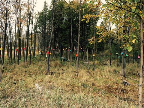 10689965_10203908438289058_9092031660910723809_n