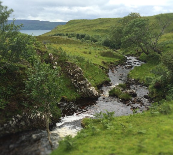 1A47E2F7-2207-4D11-80B7-211C74358E72