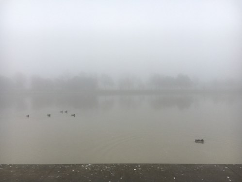 dusks-and-river-in-fog-2
