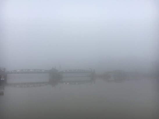 fog-in-downtown-rochester