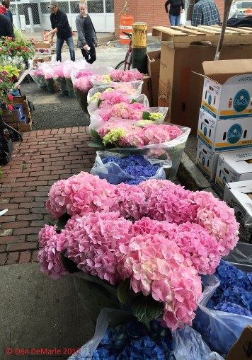 IMG_0276 (2) signed.jpg