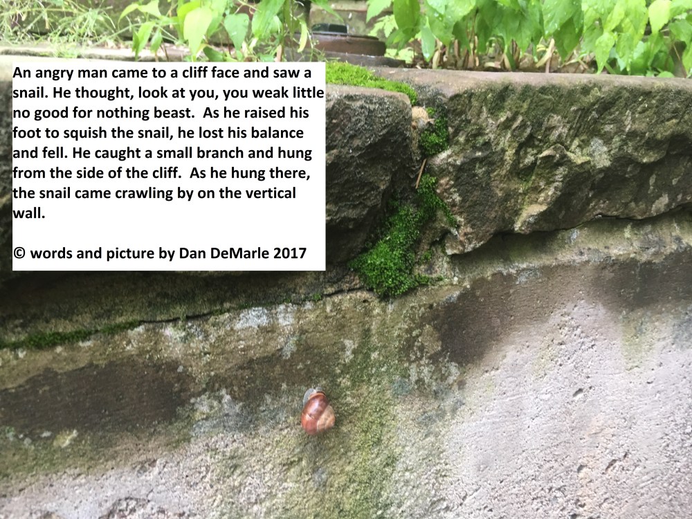 IMG_0330 (2) snail and man